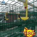 chicken farm poultry equipment